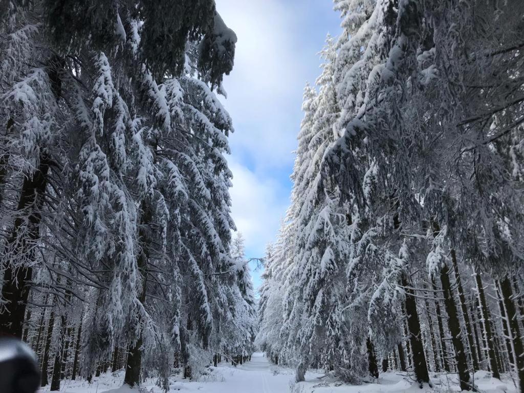 Ferienwohnung Wolkenplatz Winterberg Exteriér fotografie