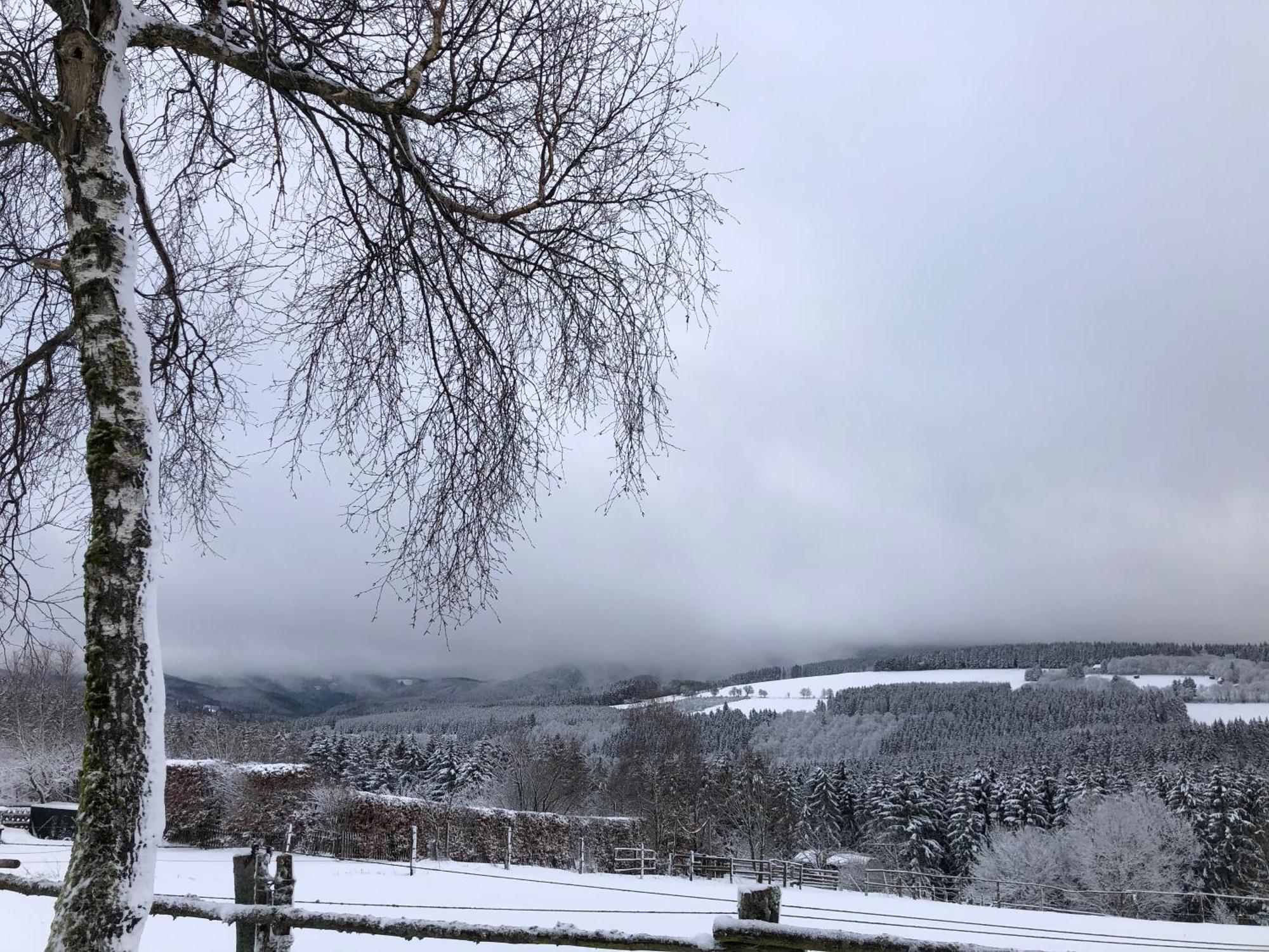 Ferienwohnung Wolkenplatz Winterberg Exteriér fotografie
