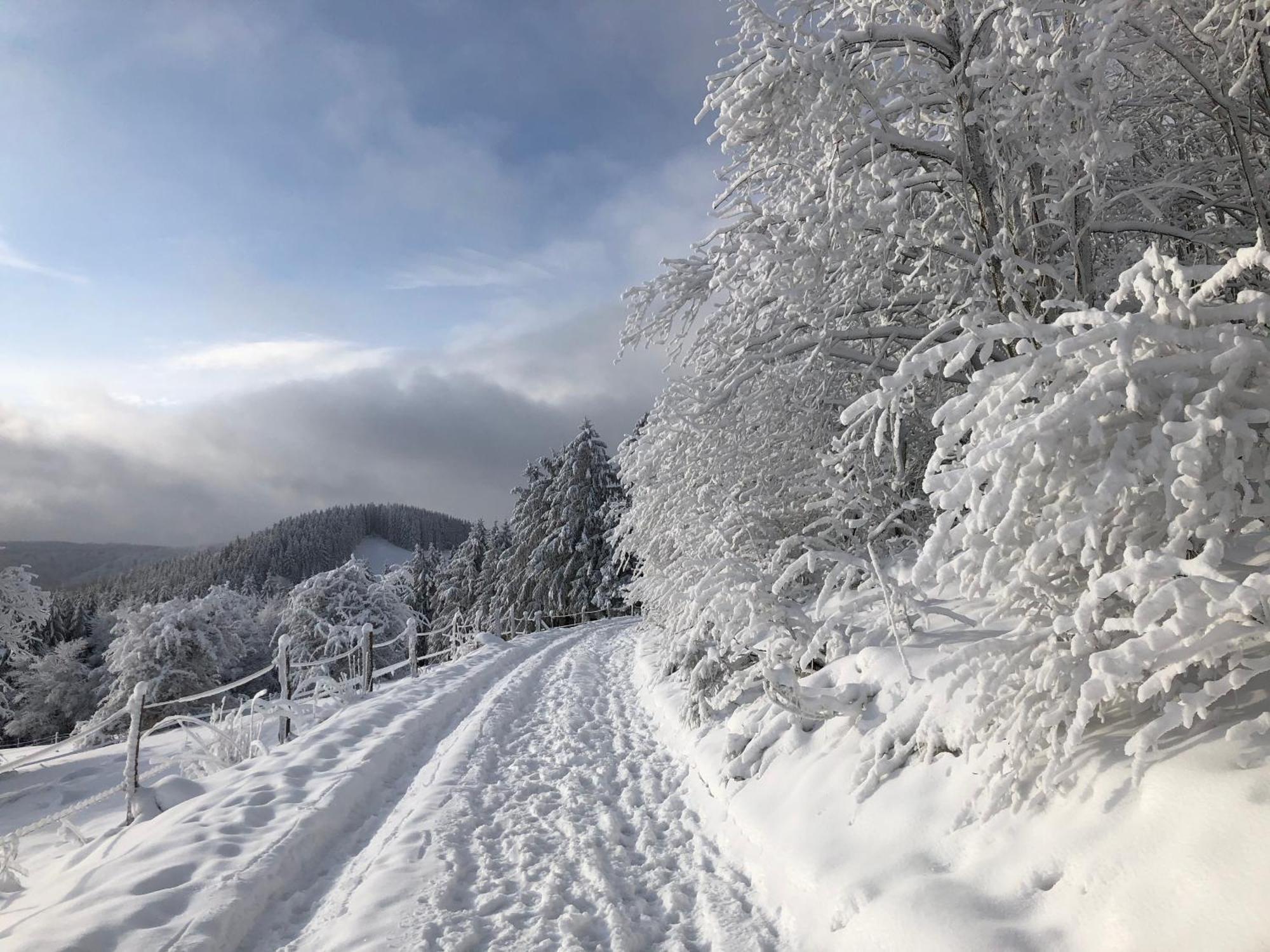Ferienwohnung Wolkenplatz Winterberg Exteriér fotografie