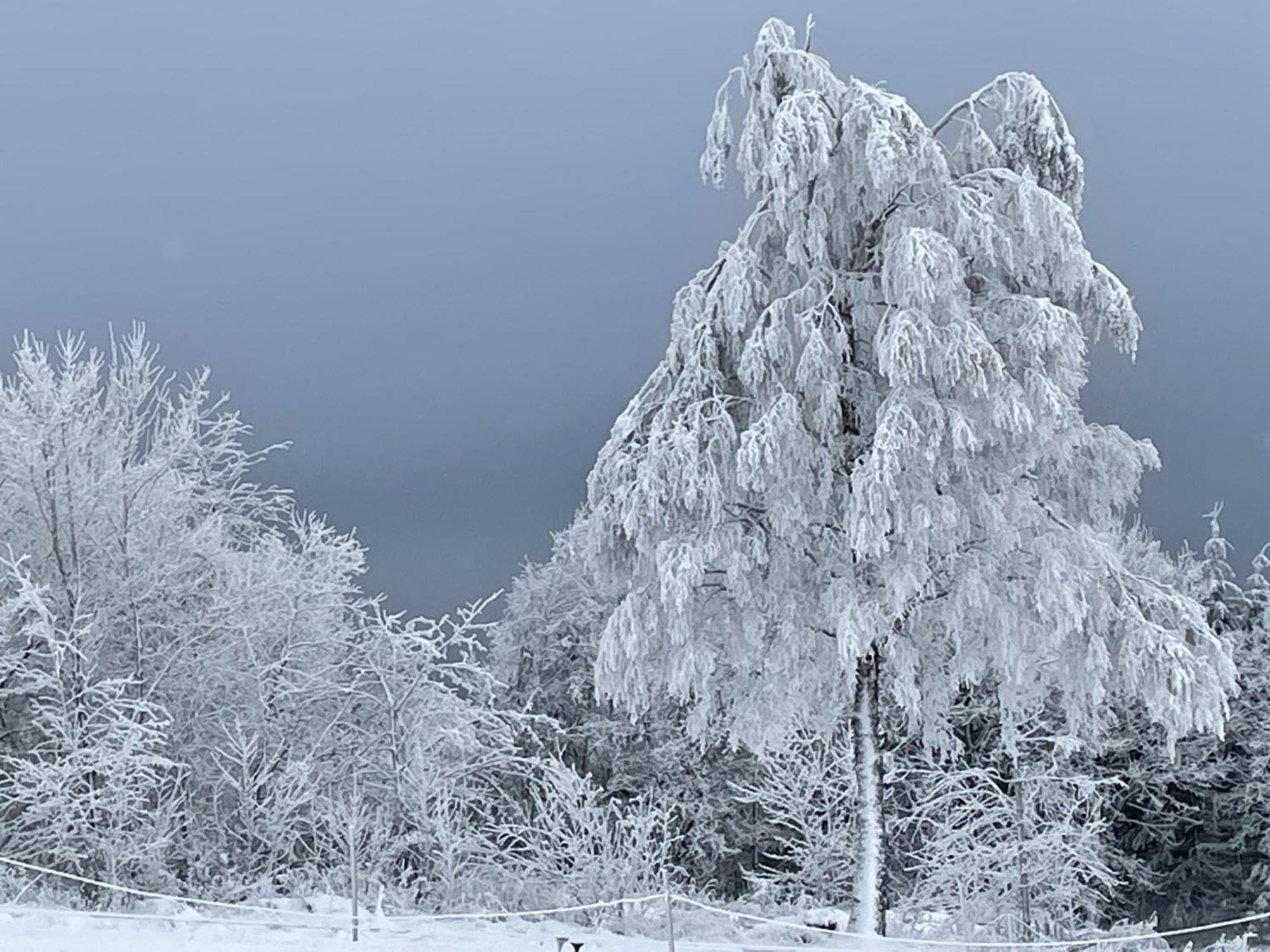 Ferienwohnung Wolkenplatz Winterberg Exteriér fotografie